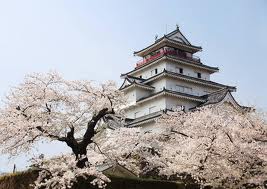 八重の桜の会津城