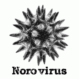 ノロウイルスの原因